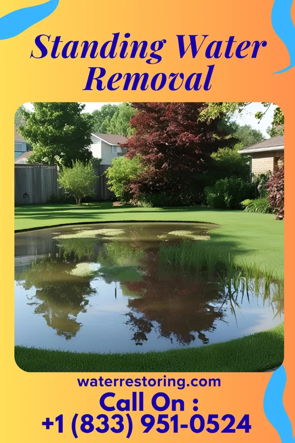Standing Water Removal in Twin Lakes, WA